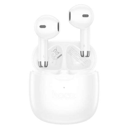 Hoco EW201 Wireless Headphones with Charging Case